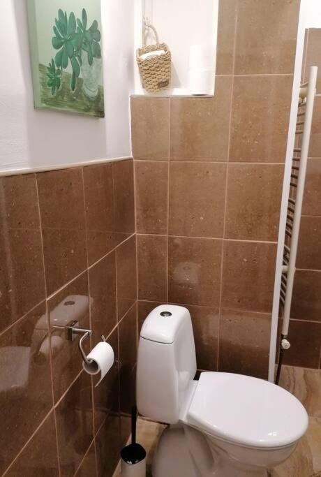 Studio Apartman Cactus Apartman Zágráb Kültér fotó