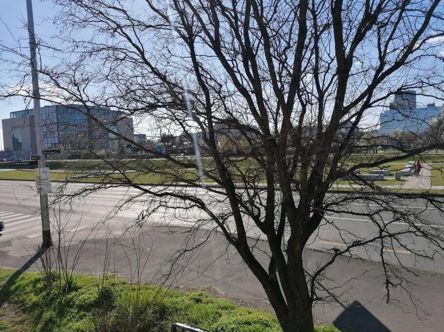 Studio Apartman Cactus Apartman Zágráb Kültér fotó